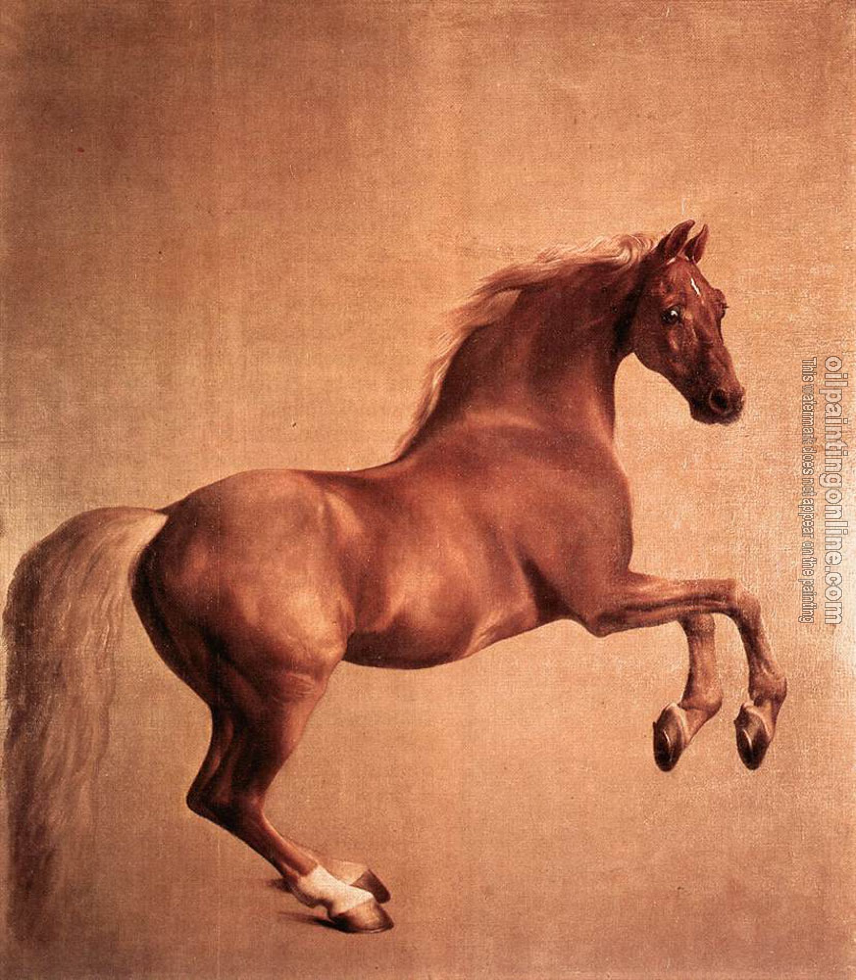 Stubbs, George - Whistlejacket